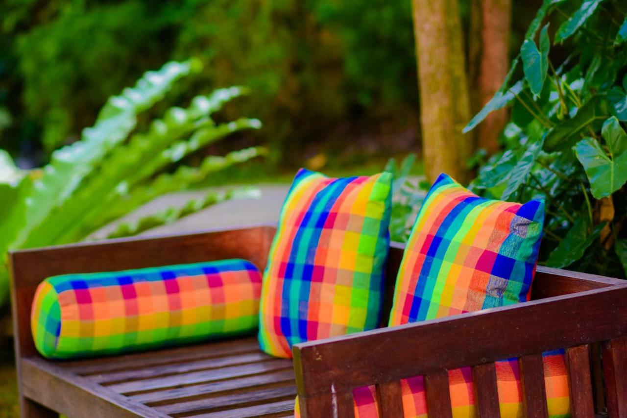 Homestay Garden Rest แคนดี้ ภายนอก รูปภาพ