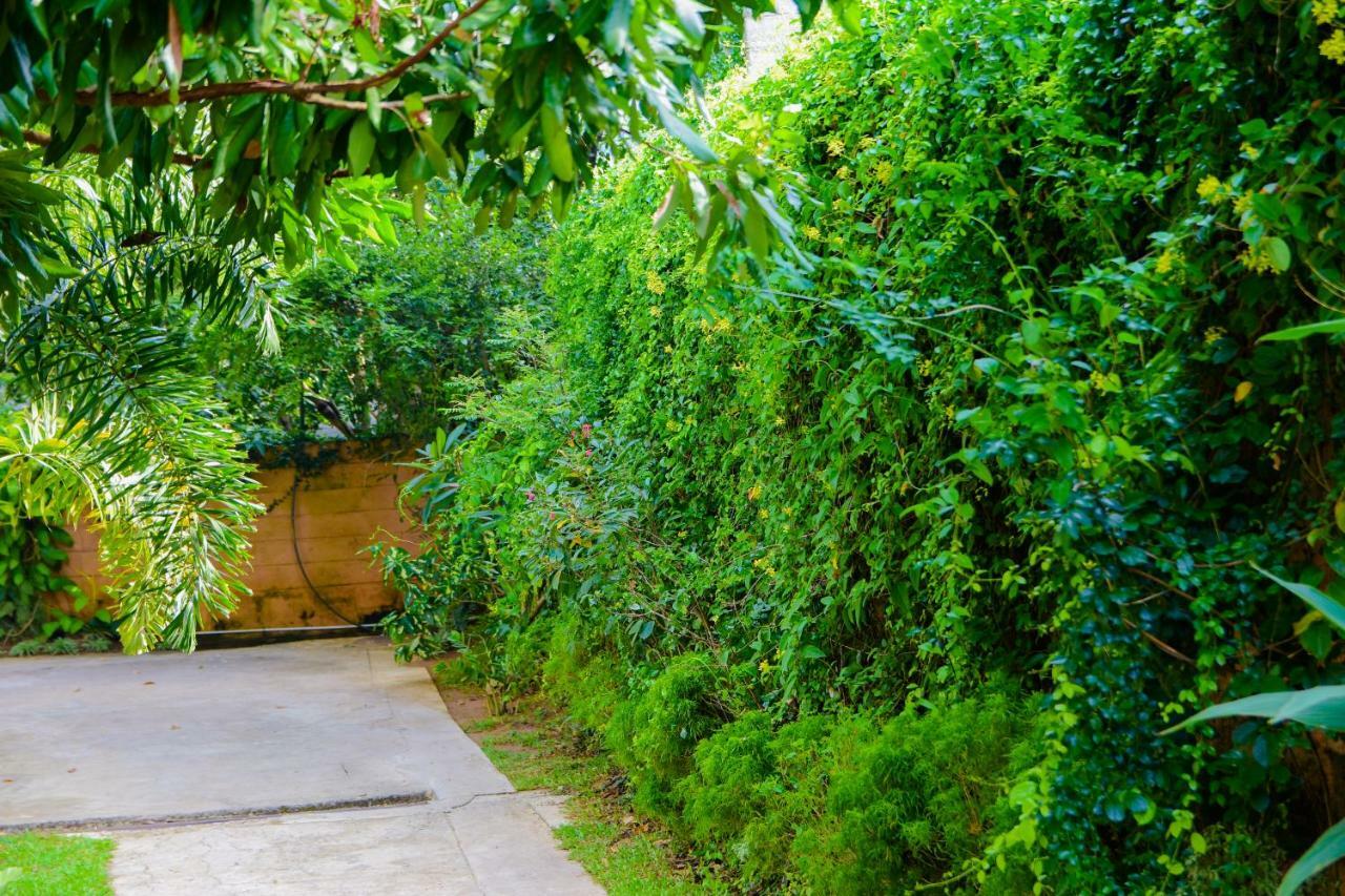 Homestay Garden Rest แคนดี้ ภายนอก รูปภาพ