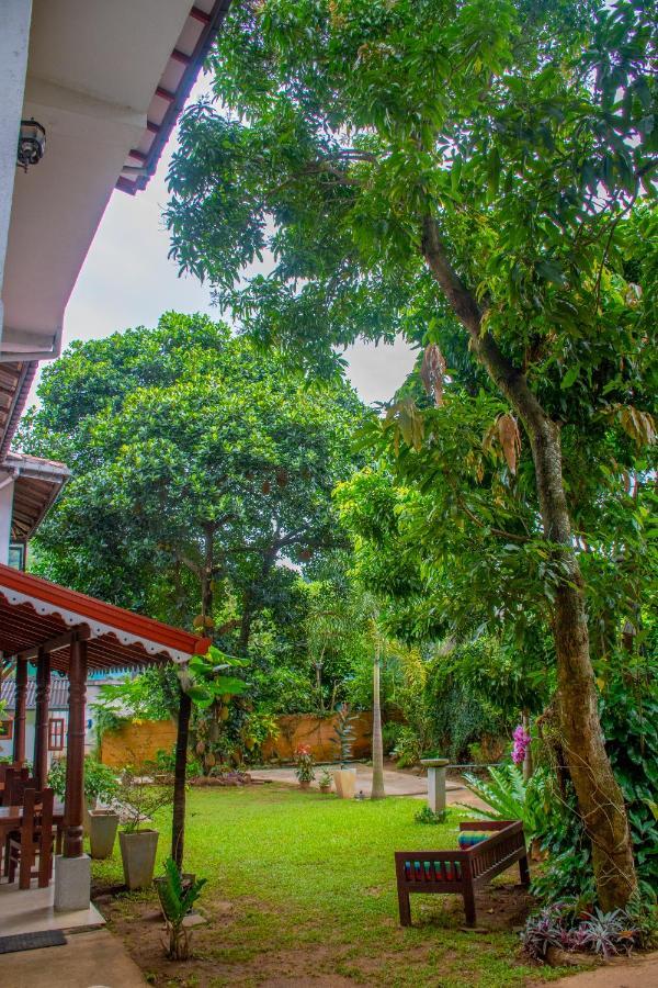 Homestay Garden Rest แคนดี้ ภายนอก รูปภาพ